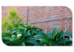 想不到，劈開磚和功夫居然是這種關系